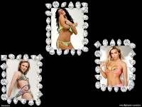 ���� ��� ���